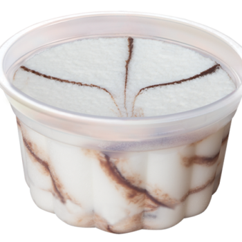 Low Fat Chocolate Sundae