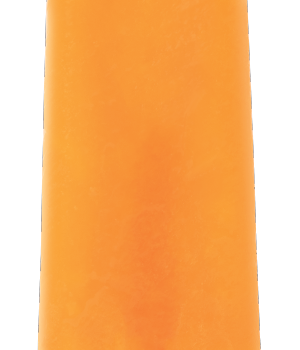 Sugar Free Orange Ice Pop