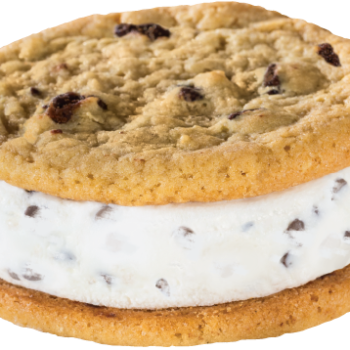 Polar Bear® Chocolate Chip Sandwich
