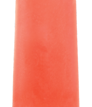 Wild Watermelon Ice Popop